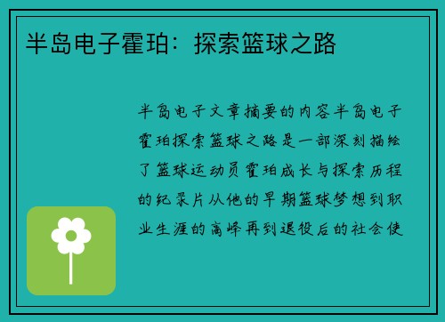 半岛电子霍珀：探索篮球之路
