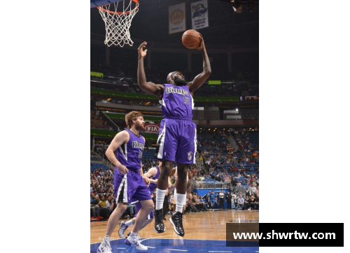 半岛电子昆西-纵览NBA历史：球场传奇与文化影响 - 副本