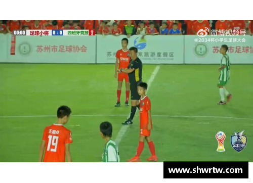 半岛电子足球球星分级全解析 不同水平球员实力对比与特色探讨 - 副本