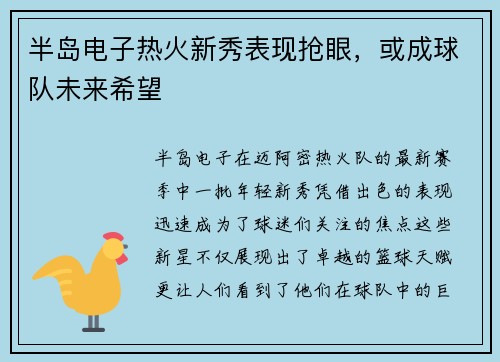 半岛电子热火新秀表现抢眼，或成球队未来希望