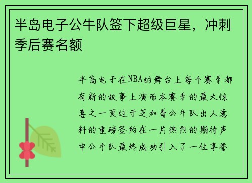 半岛电子公牛队签下超级巨星，冲刺季后赛名额