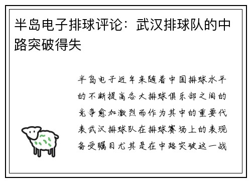 半岛电子排球评论：武汉排球队的中路突破得失